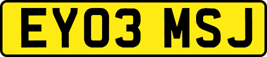EY03MSJ