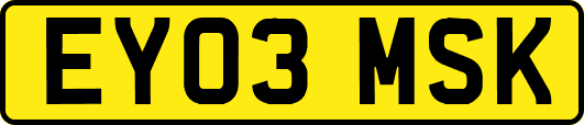 EY03MSK