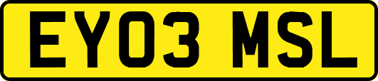 EY03MSL