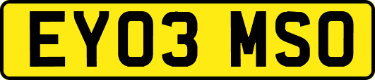 EY03MSO