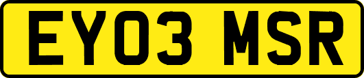 EY03MSR