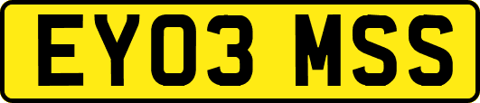 EY03MSS