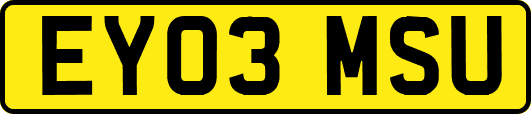 EY03MSU