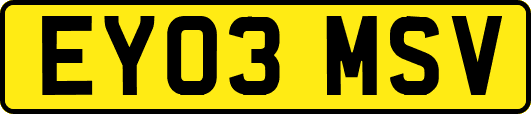 EY03MSV