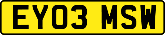 EY03MSW