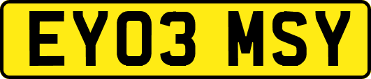 EY03MSY