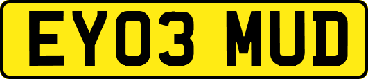 EY03MUD