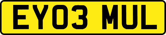EY03MUL