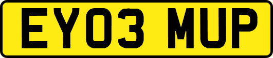 EY03MUP