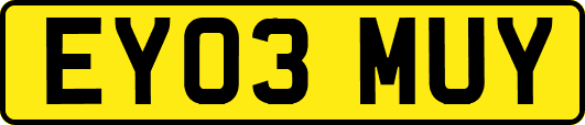 EY03MUY