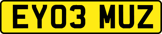 EY03MUZ