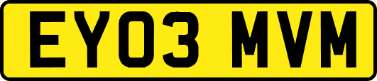 EY03MVM