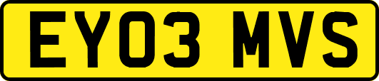 EY03MVS