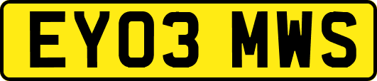 EY03MWS