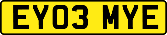 EY03MYE