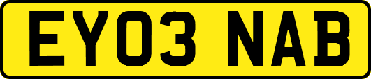 EY03NAB