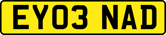 EY03NAD
