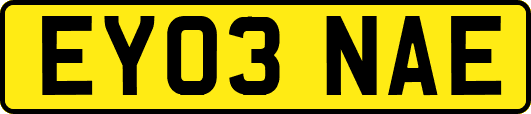 EY03NAE