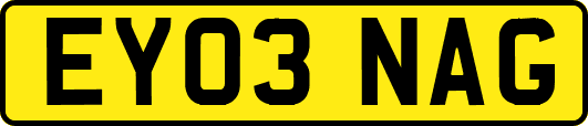 EY03NAG