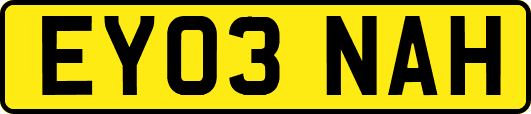EY03NAH