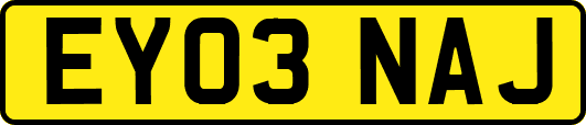 EY03NAJ