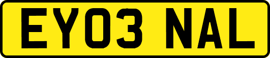 EY03NAL