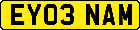 EY03NAM