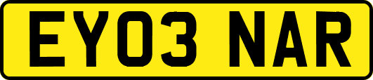 EY03NAR