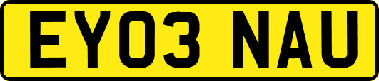 EY03NAU