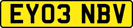 EY03NBV
