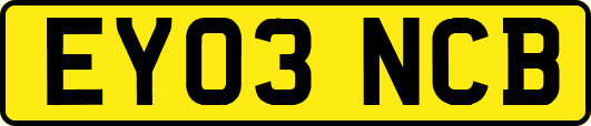 EY03NCB