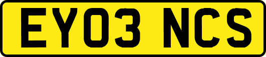 EY03NCS