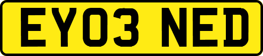 EY03NED