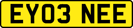 EY03NEE
