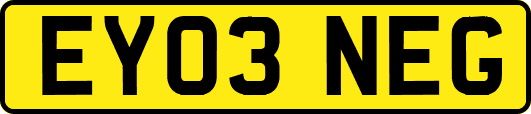 EY03NEG
