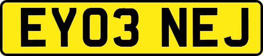 EY03NEJ