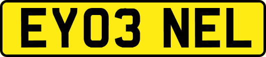 EY03NEL
