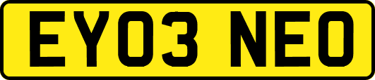 EY03NEO