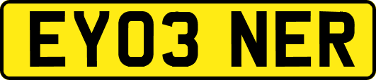 EY03NER