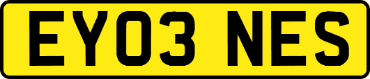 EY03NES