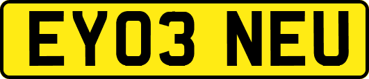 EY03NEU