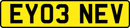 EY03NEV