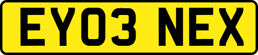 EY03NEX