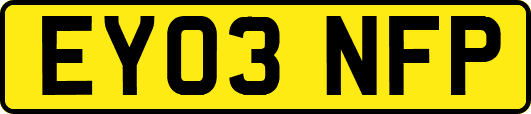 EY03NFP