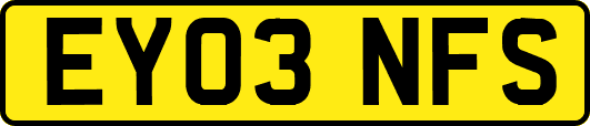 EY03NFS