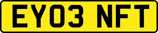 EY03NFT