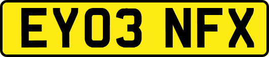 EY03NFX