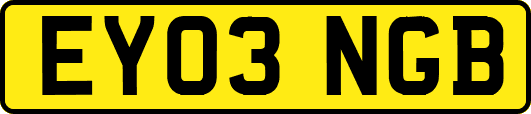 EY03NGB