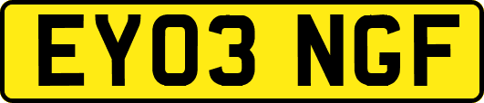 EY03NGF