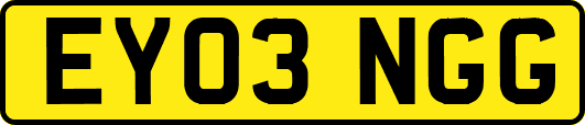 EY03NGG